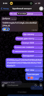 IMG_7154.png