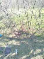 IMG_3049.jpeg