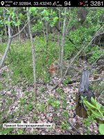IMG_20260530_200407_059.jpg