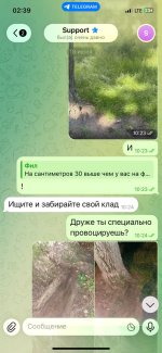 IMG_8012.jpeg