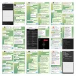 IMG_20260917_070717-COLLAGE.jpg